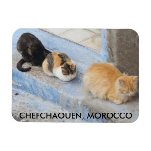 Magnet Flexible Chats, Chefchaouen, Maroc