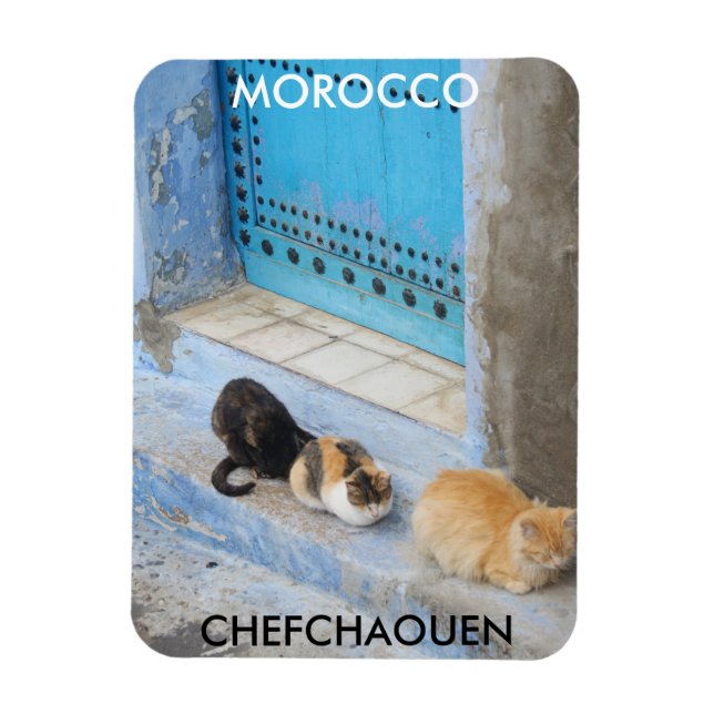 Magnet Flexible Chats, Chefchaouen, Maroc (Vertical)