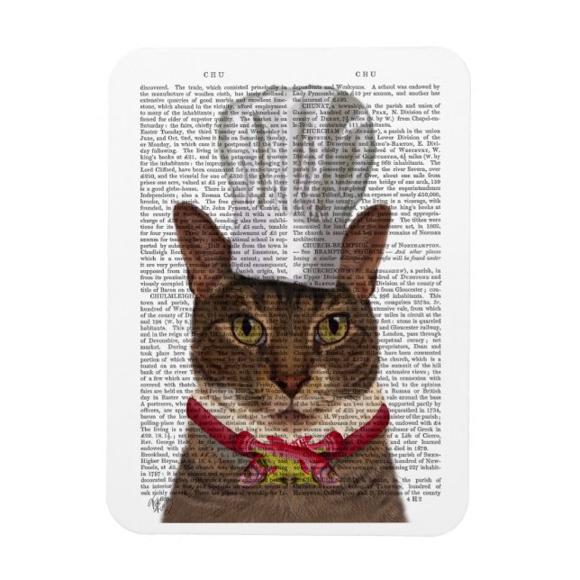 Magnet Flexible Chef de chats (Vertical)