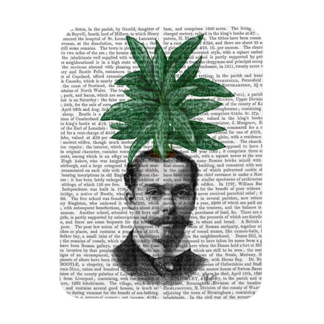 Magnet Flexible Chef du Plante À feuillage persistant chinois (Vertical)