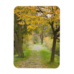 Magnet Flexible Chemin en automne