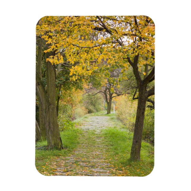 Magnet Flexible Chemin en automne (Vertical)