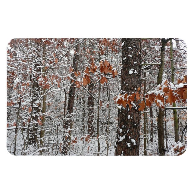 Magnet Flexible Chênes couverts de neige hiver Photographie de la  (Horizontal)