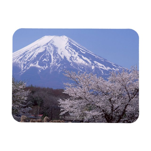 Magnet Flexible Cherry Blossom et le mont Fuji (Horizontal)