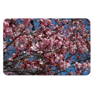 Magnet Flexible Cherry Blossoms et Blue Sky Spring Floral