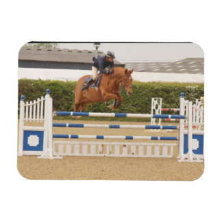 Magnet Flexible Cheval au-dessus de la clôture Aimant flexible