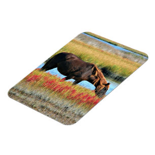 Magnet Flexible Cheval brun paissant près d'un pré aquatique