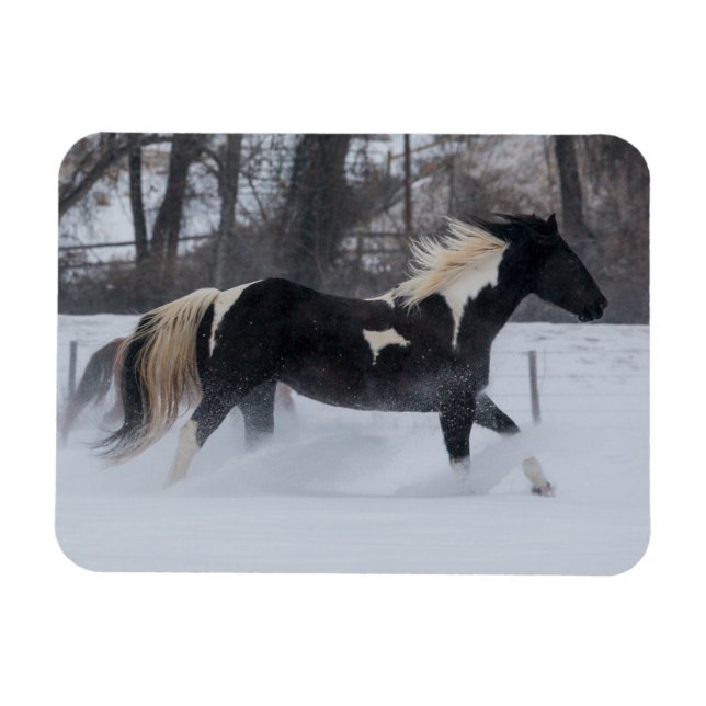 Magnet Flexible Cheval courant à travers la neige (Horizontal)