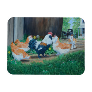 Magnet Flexible Cheval d'Amish/buggy et poulets Saumons Favorelle
