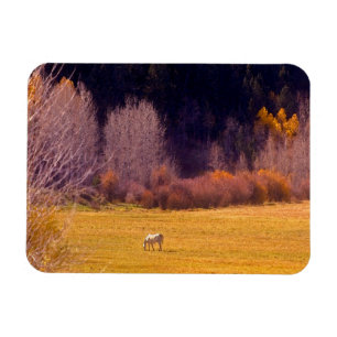 Magnet Flexible Cheval dans l'automne I