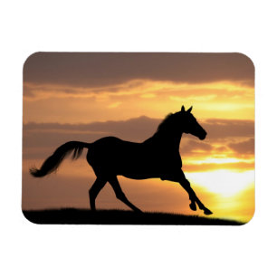 Magnet Flexible Cheval dans le coucher du soleil
