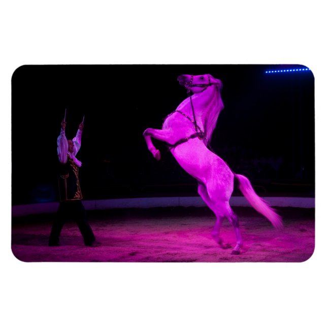 Magnet Flexible Cheval de cirque rose (Horizontal)