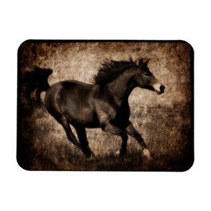 Magnet Flexible Cheval de Galoping de Sepia