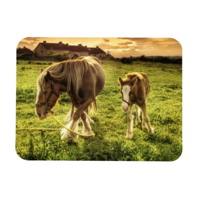 Magnet Flexible Cheval de la mère et du poulain (Horizontal)