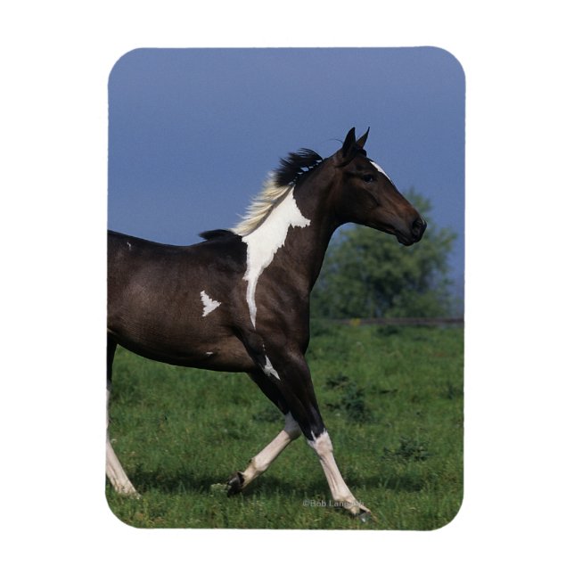 Magnet Flexible Cheval de peinture 2 (Vertical)