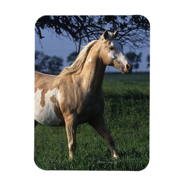 Magnet Flexible Cheval de peinture debout 2 (Vertical)