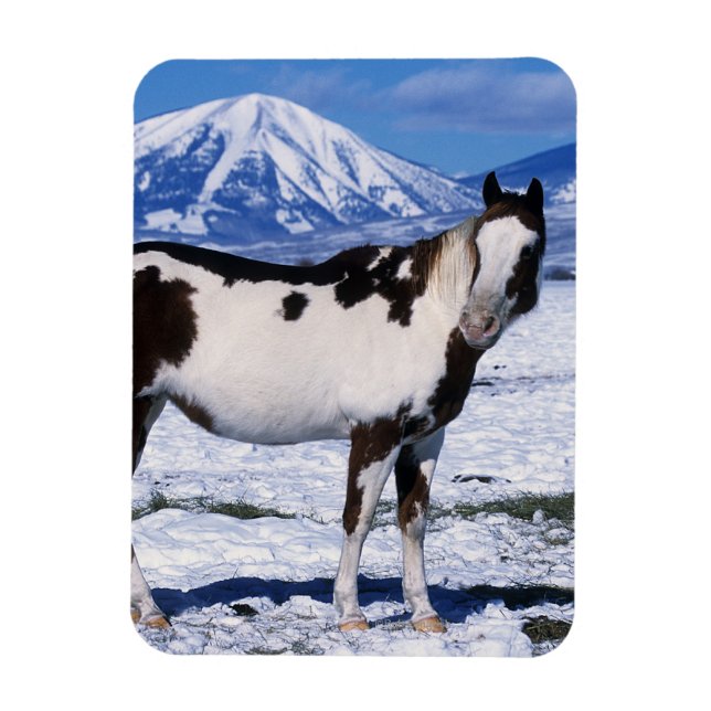 Magnet Flexible Cheval de peinture debout dans la neige (Vertical)