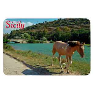 Magnet Flexible Cheval de Sicile
