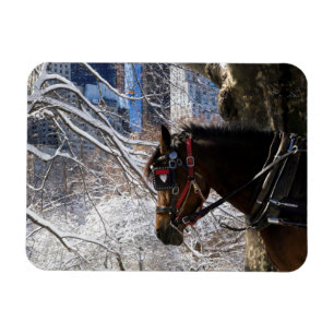 Magnet Flexible Cheval de transport d'hiver