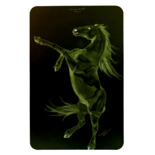 Magnet Flexible Cheval frison élevant l'aimant de Flexi