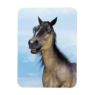 Magnet Flexible Cheval Grulla Souriant Heureux