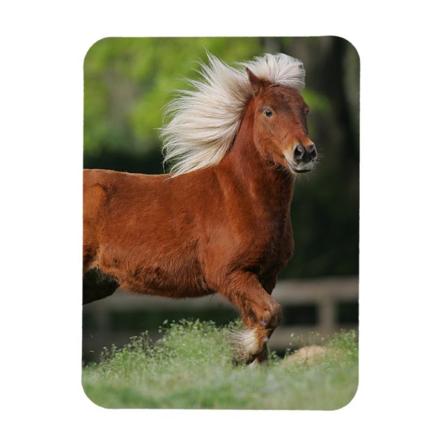 Magnet Flexible Cheval miniature debout (Vertical)