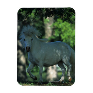 Magnet Flexible Cheval miniature debout dans les arbres