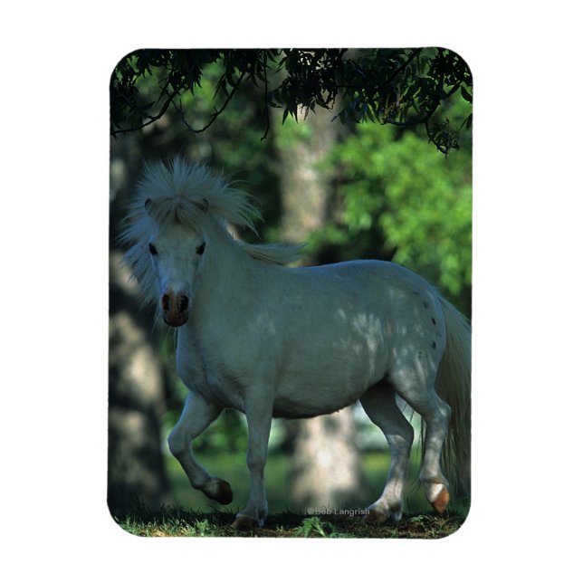 Magnet Flexible Cheval miniature debout dans les arbres (Vertical)