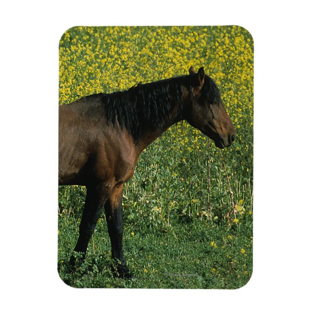 Magnet Flexible Cheval Mustang sauvage debout en fleurs (Vertical)