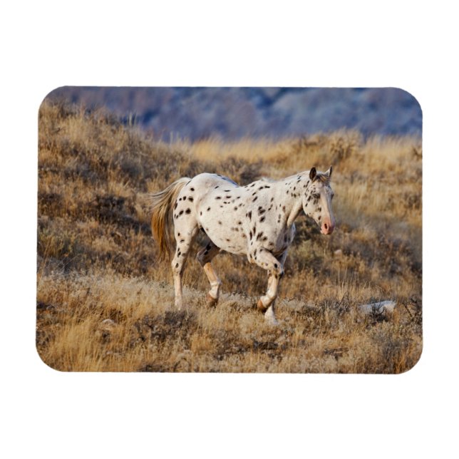 Magnet Flexible Cheval Parcourir les collines Pittoresques de la G (Horizontal)