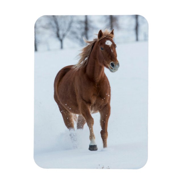 Magnet Flexible Cheval seul courant dans la neige (Vertical)
