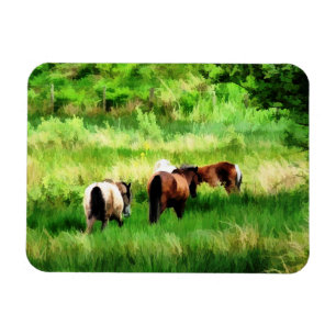 MAGNET FLEXIBLE CHEVAUX