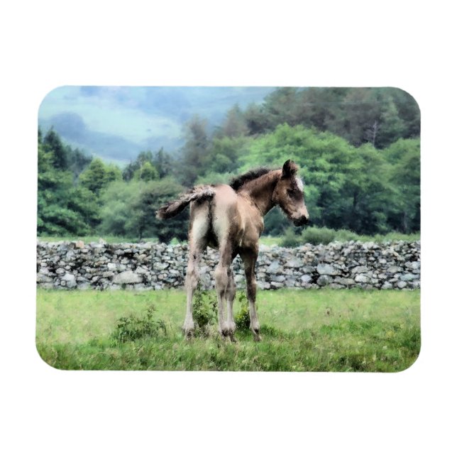 MAGNET FLEXIBLE CHEVAUX (Horizontal)