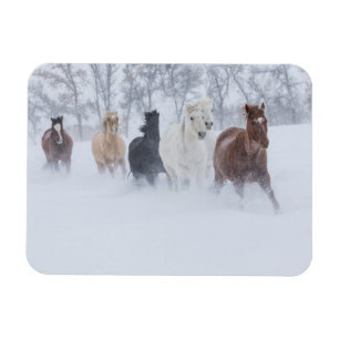 Magnet Flexible Chevaux courant à travers la neige
