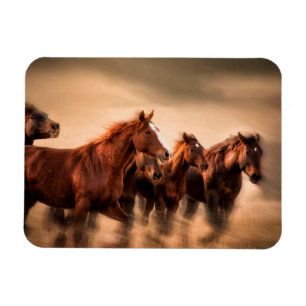 Magnet Flexible Chevaux de course
