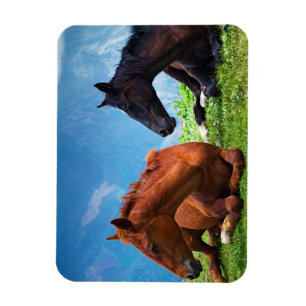 Magnet Flexible Chevaux de Moody Mountain : Un Art Fin