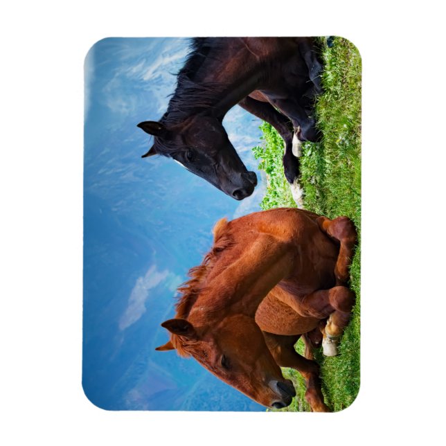 Magnet Flexible Chevaux de Moody Mountain : Un Art Fin  (Vertical)
