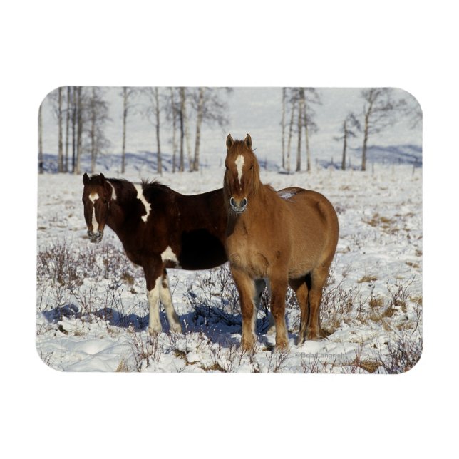 Magnet Flexible Chevaux de peinture dans la neige (Horizontal)
