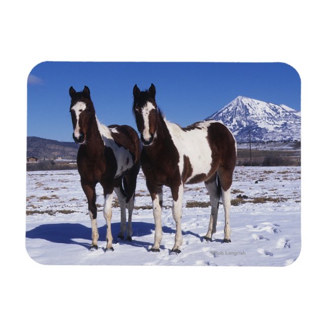 Magnet Flexible Chevaux de peinture debout dans la neige (Horizontal)