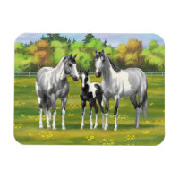 Chevaux De Peinture Gris De Pâte De Poisson En Été
