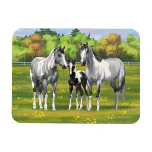 Magnet Flexible Chevaux De Peinture Gris De Pâte De Poisson En Été