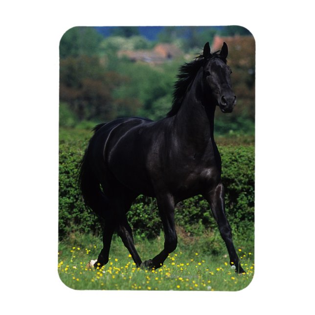 Magnet Flexible Chevaux de Thoroughbred en champ de fleurs (Vertical)