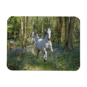 Magnet Flexible Chevaux d'Imaginaire : Bois de Bluebell