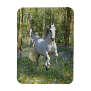 Magnet Flexible Chevaux d'Imaginaire : Bois de Bluebell