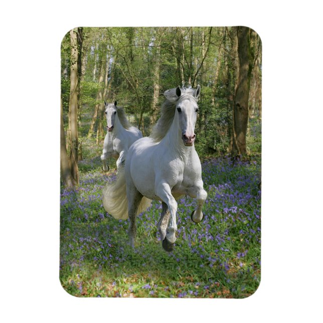 Magnet Flexible Chevaux d'Imaginaire : Bois de Bluebell (Vertical)