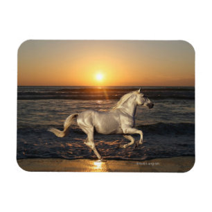 Magnet Flexible Chevaux d'Imaginaire : Coucher de soleil