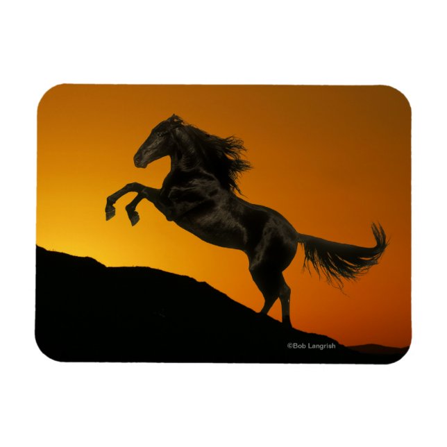 Magnet Flexible Chevaux d'Imaginaire : Coucher de soleil de montag (Horizontal)