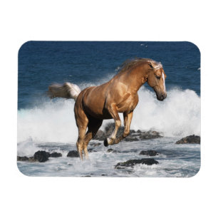 Magnet Flexible Chevaux d'imaginaire : Éclaboussure d'été