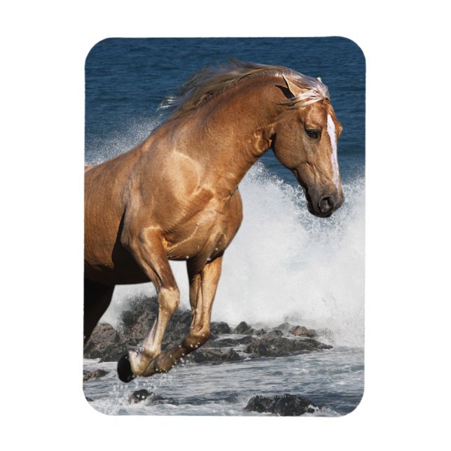 Magnet Flexible Chevaux d'Imaginaire : Été (Vertical)