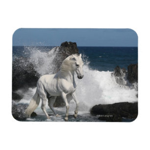 Magnet Flexible Chevaux d'imaginaire : Mers du sud